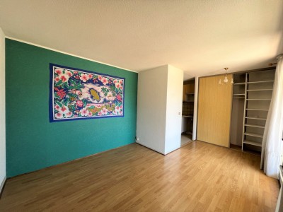APPARTEMENT T1 - BRIANCON - 33.18 m2 - VENDU