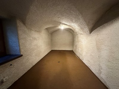 LOCAL COMMERCIAL A VENDRE - LE MONETIER LES BAINS - 78.8 m2 - 250000€ 